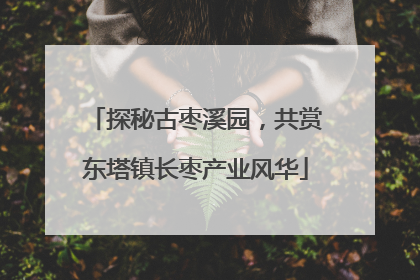 探秘古枣溪园，共赏东塔镇长枣产业风华