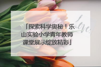 探索科学奥秘！乐山实验小学青年教师课堂展示绽放精彩