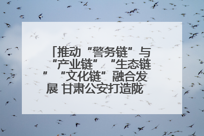 推动“警务链”与“产业链”“生态链”“文化链”融合发展 甘肃公安打造陇原旅游警务品牌