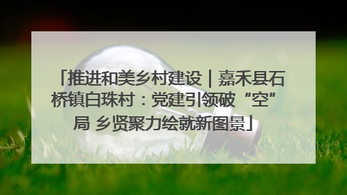 推进和美乡村建设｜嘉禾县石桥镇白珠村：党建引领破“空”局 乡贤聚力绘就新图景