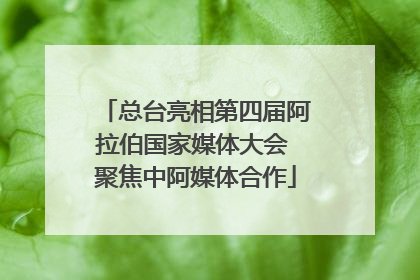 总台亮相第四届阿拉伯国家媒体大会 聚焦中阿媒体合作