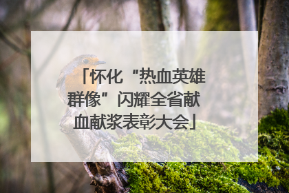 怀化“热血英雄群像”闪耀全省献血献浆表彰大会
