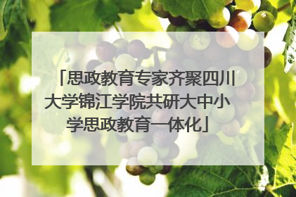 思政教育专家齐聚四川大学锦江学院共研大中小学思政教育一体化