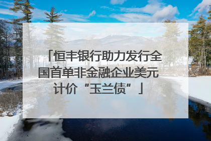 恒丰银行助力发行全国首单非金融企业美元计价“玉兰债”