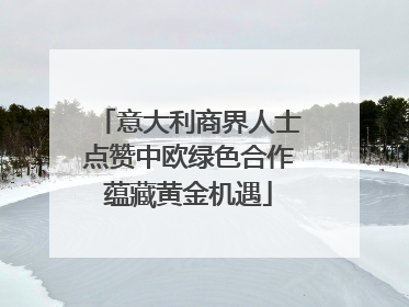 意大利商界人士点赞中欧绿色合作蕴藏黄金机遇