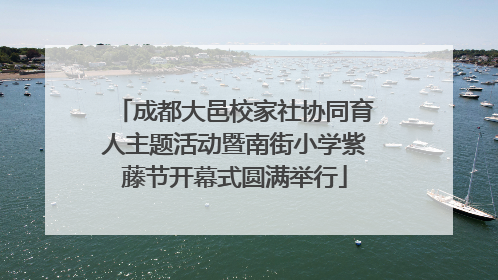 成都大邑校家社协同育人主题活动暨南街小学紫藤节开幕式圆满举行