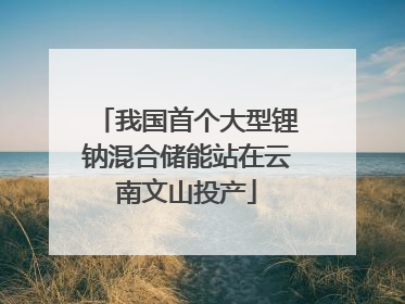 我国首个大型锂钠混合储能站在云南文山投产