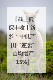 战三夏 保丰收丨新乡：中低产田“逆袭” 亩均增产15%