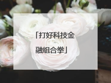 打好科技金融组合拳