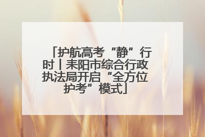 护航高考“静”行时丨耒阳市综合行政执法局开启“全方位护考”模式