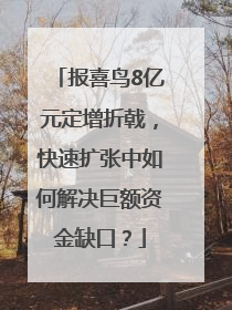 报喜鸟8亿元定增折戟，快速扩张中如何解决巨额资金缺口？