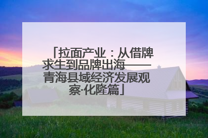 拉面产业：从借牌求生到品牌出海——青海县域经济发展观察·化隆篇