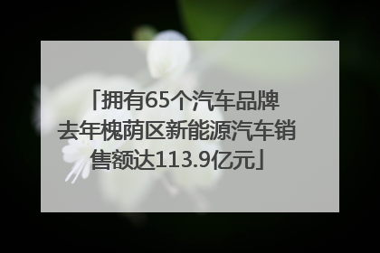 拥有65个汽车品牌 去年槐荫区新能源汽车销售额达113.9亿元
