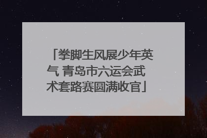 拳脚生风展少年英气 青岛市六运会武术套路赛圆满收官
