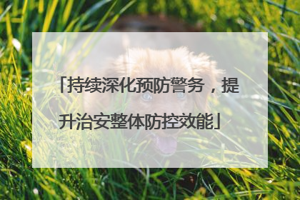 持续深化预防警务，提升治安整体防控效能