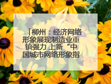 柳州：经济网络形象展现制造业重镇强力 上新“中国城市网络形象指数”报告
