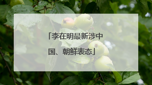 李在明最新涉中国、朝鲜表态