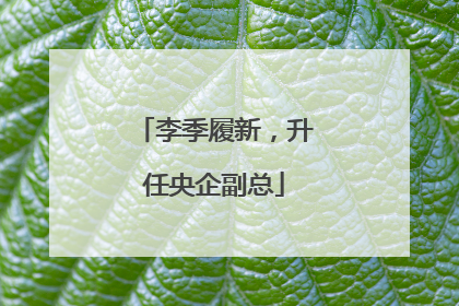 李季履新，升任央企副总