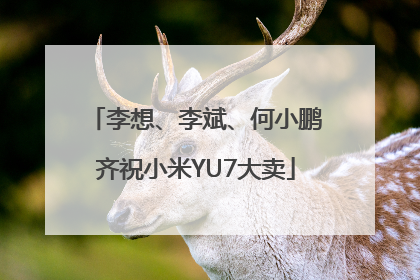 李想、李斌、何小鹏齐祝小米YU7大卖