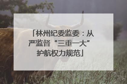 林州纪委监委：从严监督“三重一大” 护航权力规范