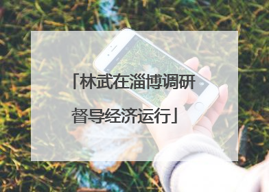 林武在淄博调研督导经济运行