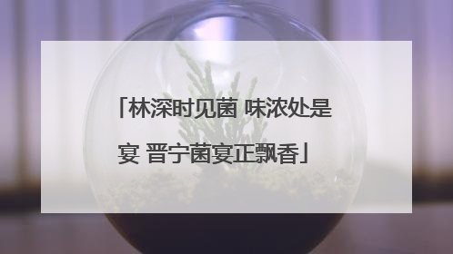 林深时见菌 味浓处是宴 晋宁菌宴正飘香
