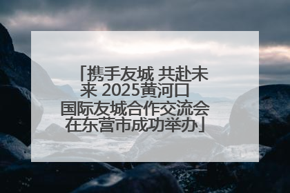 携手友城 共赴未来 2025黄河口国际友城合作交流会在东营市成功举办