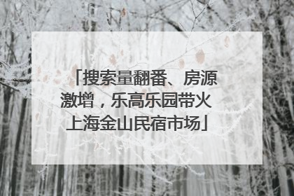 搜索量翻番、房源激增，乐高乐园带火上海金山民宿市场