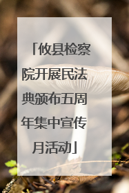 攸县检察院开展民法典颁布五周年集中宣传月活动