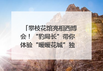 攀枝花馆亮相西博会！“豹局长”带你体验“暖暖花城”独特魅力｜西博视界