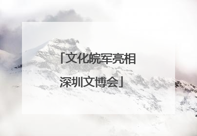 文化皖军亮相深圳文博会