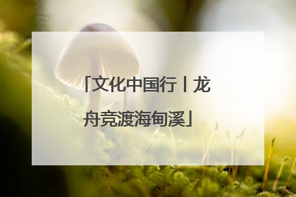 文化中国行丨龙舟竞渡海甸溪