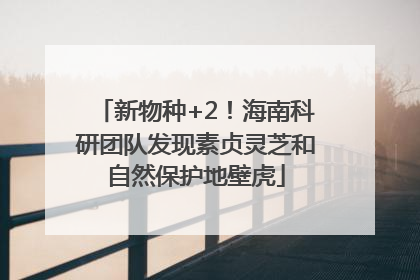新物种+2！海南科研团队发现素贞灵芝和自然保护地壁虎
