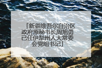 新疆维吾尔自治区政府原秘书长周旭勇已任伊犁州人大常委会党组书记