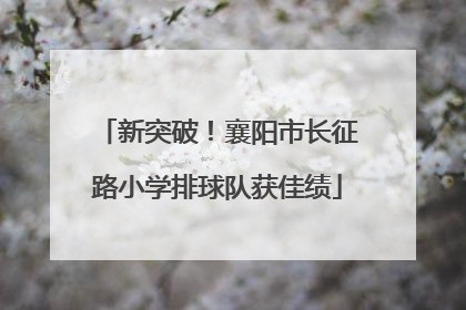 新突破！襄阳市长征路小学排球队获佳绩