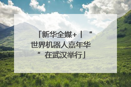 新华全媒+丨“世界机器人嘉年华”在武汉举行