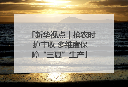 新华视点｜抢农时 护丰收 多维度保障“三夏”生产