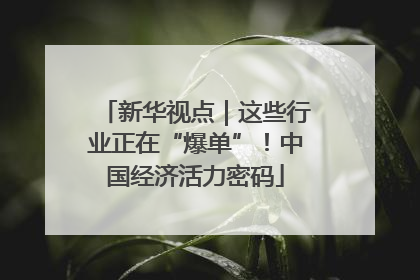 新华视点｜这些行业正在“爆单”！中国经济活力密码