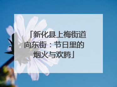 新化县上梅街道向东街：节日里的烟火与欢腾