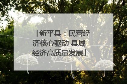 新平县：民营经济核心驱动 县域经济高质量发展