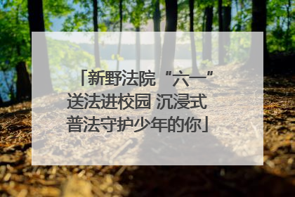 新野法院“六一”送法进校园 沉浸式普法守护少年的你