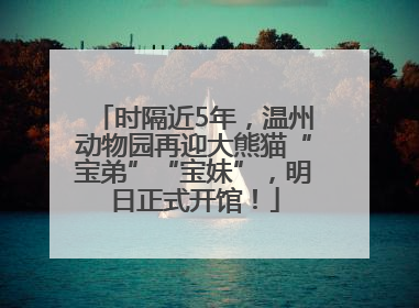 时隔近5年，温州动物园再迎大熊猫“宝弟”“宝妹”，明日正式开馆！