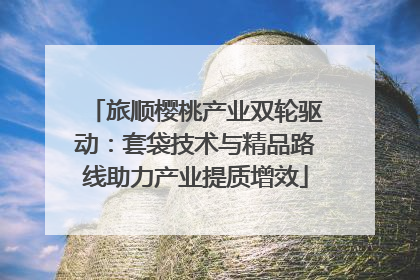 旅顺樱桃产业双轮驱动：套袋技术与精品路线助力产业提质增效