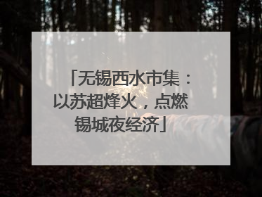 无锡西水市集：以苏超烽火，点燃锡城夜经济