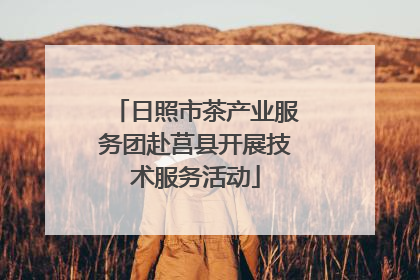 日照市茶产业服务团赴莒县开展技术服务活动