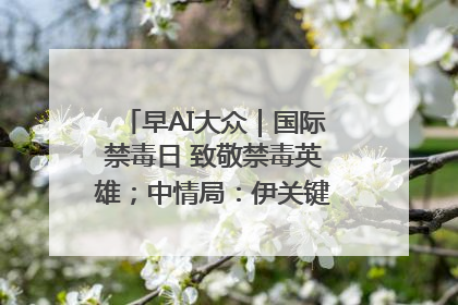 早AI大众｜国际禁毒日 致敬禁毒英雄；中情局：伊关键核设施被摧毁
