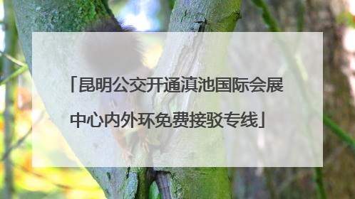 昆明公交开通滇池国际会展中心内外环免费接驳专线