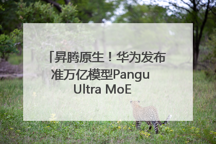 昇腾原生！华为发布准万亿模型Pangu Ultra MoE模型架构和训练细节