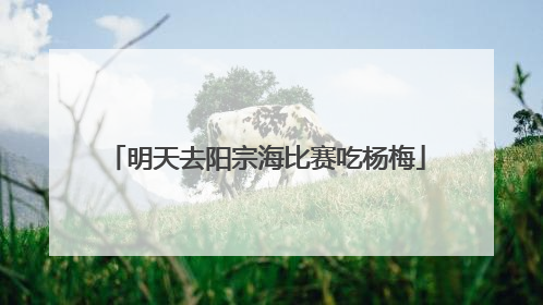 明天去阳宗海比赛吃杨梅