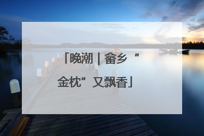 晚潮｜畲乡“金枕”又飘香